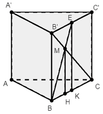 Cho lăng trụ đứng ABC.A’B’C’, đáy ABC là tam giác vuông tại A. E là trung  (ảnh 1)