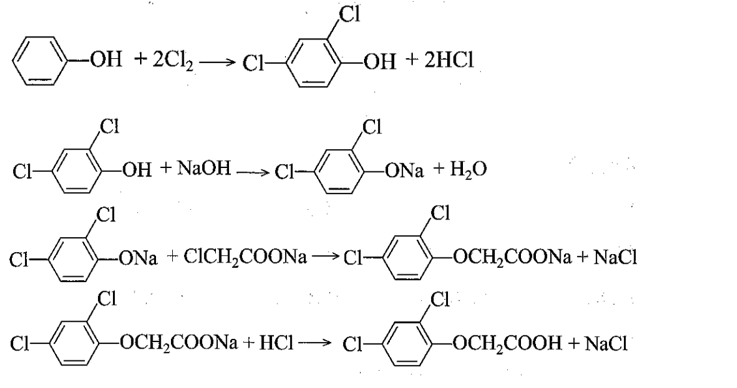 Để điều chế 2,4-dichlorophenoxyacetic acid (2,4-D) dùng làm chất diệt cỏ, chất kích thích sinh (ảnh 1)