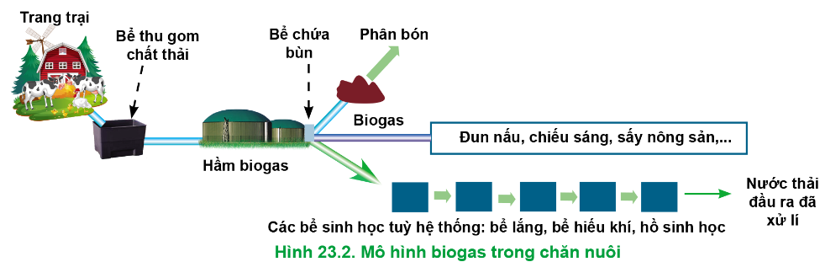 Hãy quan sát Hình 23.2 và mô tả quy trình xử lí chất thải bằng công nghệ biogas. (ảnh 1)