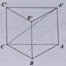 Cho hình lăng trụ tam giác đều ABC.A'B'C' có AB = 4a, góc giữa đường thẳng A'C và mặt phẳng (ABC) bằng 45°. Thể tích khối lăng trụ ABC.A'B'C' bằng (ảnh 1)