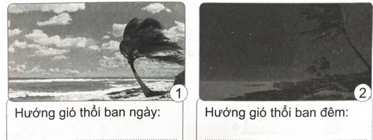 a) Viết hướng gió thổi giữa biển và đất liền vào ban ngày và ban đêm dưới mỗi hình. (ảnh 1)