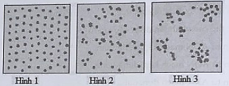 Cho ba hình 1, 2, 3 diễn tả kiểu phân bố của cá thể trong quần thể:   Có bao nhiêu nhận xét sau đây là sai? (ảnh 1)