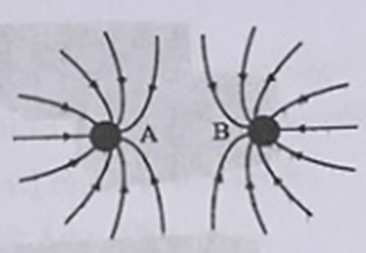Trên hình bên có vẽ một số đường sức của hệ thống hai điện tích điểm A và B. Chọn kết luận đúng? (ảnh 1)