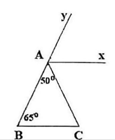 Cho hình vẽ, có góc BAC = 50 độ, AbC = 65 độ, Ax // BC. a) Tính số đo góc ACB (ảnh 1)