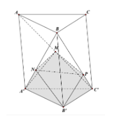 Cho khối lăng trụ ABC.A'B'C' có thể tích bằng 2020 . Gọi M, N và P lần lượt là các điểm thỏa (ảnh 1)