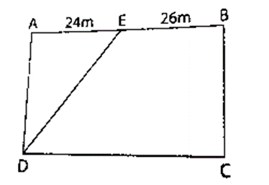 Hình chữ nhật ABCD có diện tích 1500 m2. Tính diện tích tam giác AED (ảnh 1)