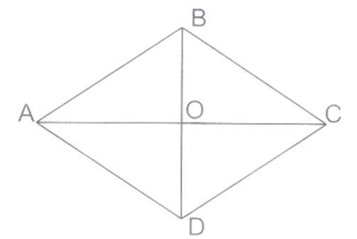 Dùng ê ke để kiểm tra xem hai đường chéo có vuông góc với nhau hay không? A. Hai đường chéo vuông góc với nhau. B. Hai đường chéo không vuông góc với nhau. (ảnh 1)