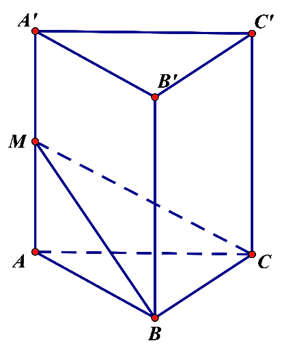 Cho khối lăng trụ tam giác đều ABC.A'B'C'. Gọi M là trung điểm cạnh AA'. Mặt phẳng  (ảnh 1)