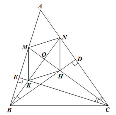 Cho tam giác ABC nhọn có các đường cao BD, CE Chứng minh BN vuông góc CM (ảnh 1)