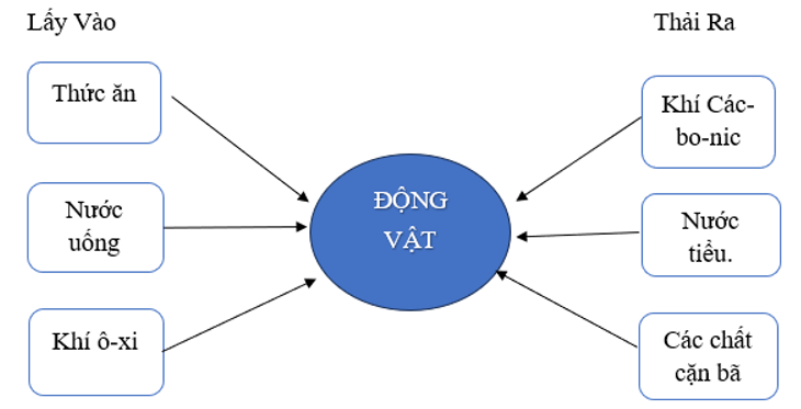 Hoàn thiện sơ đồ thể hiện sự trao đổi nước,  không khí, thức ăn của động vật với môi trường. (ảnh 2)