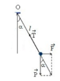 Quả cầu nhỏ khối lượng m = 25 g, mang điện tích q = 2,5.10^-7 C được treo bởi một sợi dây không dãn, khối lượng không đáng kể và đặt vào trong một điện trường đều với cường độ điện trường   có phương nằm ngang và có độ lớn E = 106 V/m. Góc lệch của dây treo so với phương thẳng đứng là (ảnh 1)