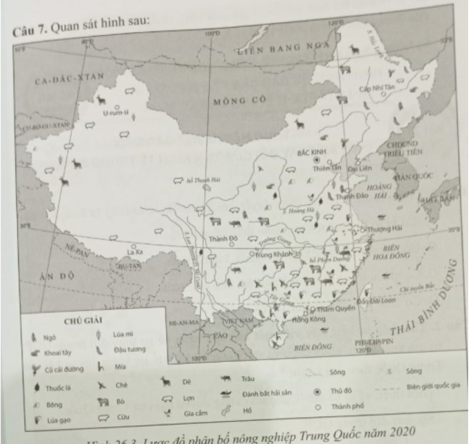 Quan sát hình sau:   a) Kể tên các cây trồng, vật nuôi chính ở Trung Quốc b) Tại sao sản xuất nông nghiệp của Trung Quốc lại tập trung chủ yếu ở miền Đông?  (ảnh 1)
