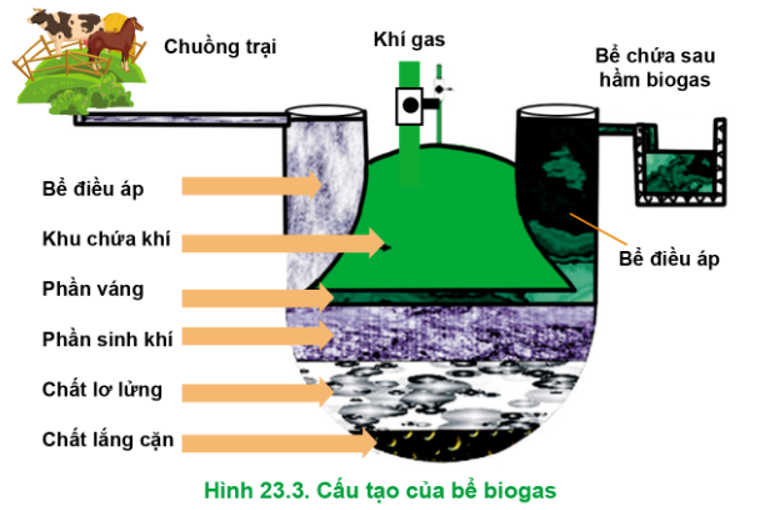 Hãy quan sát Hình 23.3 và mô tả cấu tạo của bể biogas. Bể điều áp có vai trò gì? (ảnh 1)