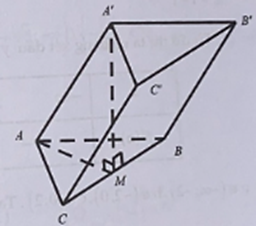 Cho hình lăng trụ ABC.A'B'C' có đáy ABC là tam giác đều cạnh a, AA' = 3a/2 . Biết rằng hình chiếu vuông góc của điểm A' lên mặt phẳng (ABC)  (ảnh 1)