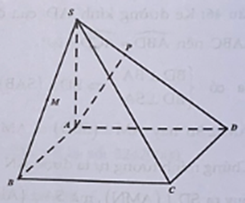 Cho hình chóp tứ giác S.ABCD có đáy ABCD là hình vuông cạnh A. Đường thẳng SA vuông góc với mặt phẳng đáy. Gọi M là trung điểm của SB. Biết khoảng cách từ điểm M đến mặt phẳng (SCD) (ảnh 1)