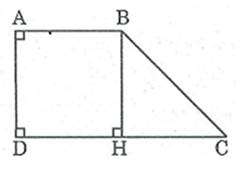 Hình thang vuông ABCD có góc A = góc D = 90 độ, AB = AD = 2cm, DC = 4cm (ảnh 1)