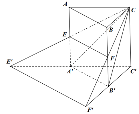 Cho hình lăng trụ tam giác ABC.A'B'C'.Gọi E và F lần lượt là trung điểm của các cạnh AA', BB'. Đường thẳng CE cắt đường thẳng C'A' tại E' (ảnh 1)