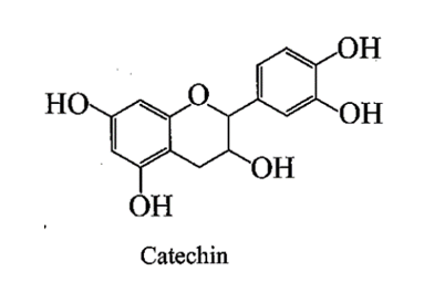 Catechin là một chất kháng oxi hoá mạnh, ức chế hoạt động của các gốc tự do nên có khả năng phòng chống bệnh ung thư, nhồi máu cơ tim. Trong lá chè (ảnh 1)