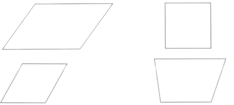 Tô màu vào hình tứ giác vừa có cặp cạnh song song, vừa có cặp cạnh vuông góc trong các hình tứ giác dưới đây. (ảnh 1)