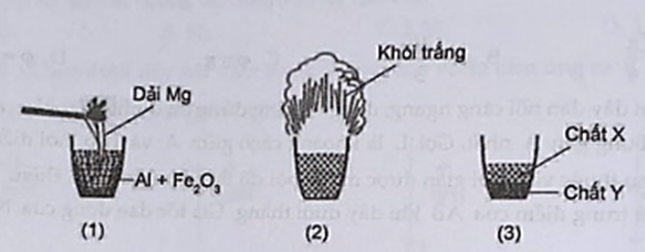 Thí nghiệm sau mô tả quá trình của phản ứng nhiệt nhôm:   Cho các phát biểu sau: (a) X là Fe nóng chảy và Y là Al2O3 nóng chảy. (b) Phần khói trắng bay ra là Al2O3. (ảnh 1)