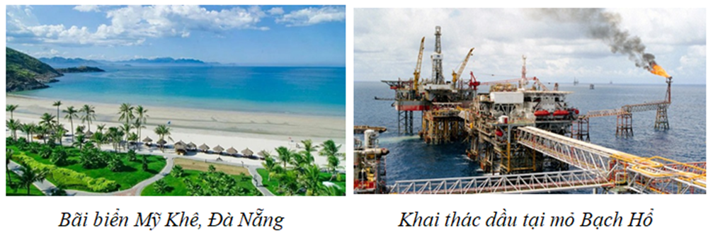 Hãy sưu tầm thông tin và hình ảnh về môi trường biển đảo Việt Nam (ảnh 1)