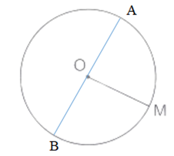 Cho đường tròn tâm O, bán kính OM. Hãy vẽ đường kính AB vuông góc với bán kính OM. (ảnh 2)