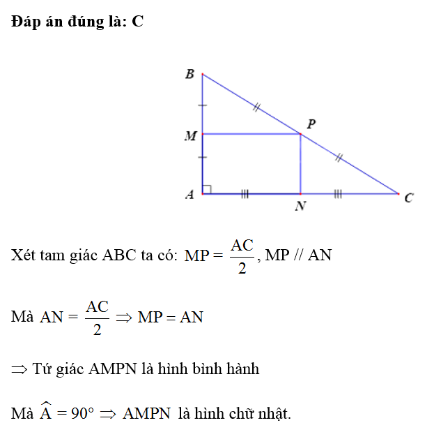 Cho tam giác ABC vuông tại A. Gọi M, N, P lần lượt là trung điểm thuộc các cạnh AB, AC, BC (ảnh 1)