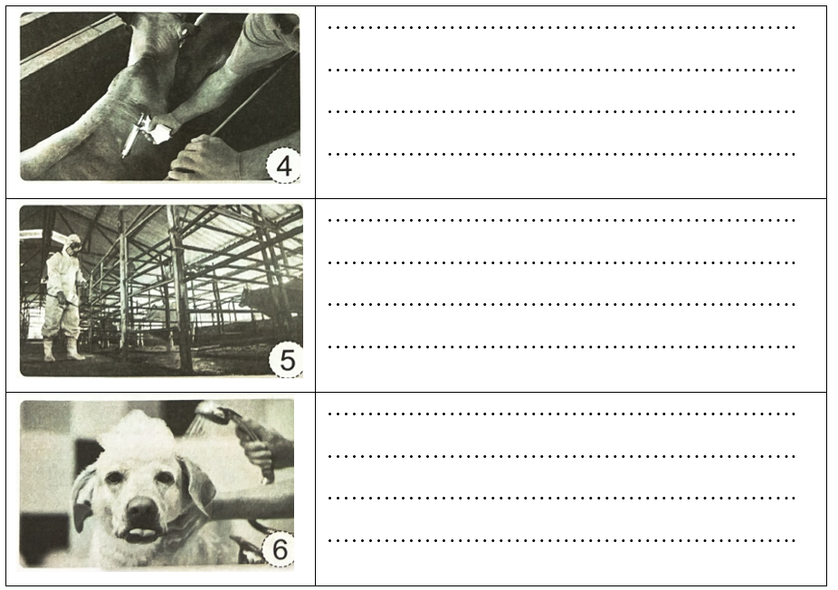 Viết việc cần làm để chăm sóc vật nuôi được thể hiện ở mỗi hình dưới đây. Giải thích vì sao cần làm những việc đó. (ảnh 2)
