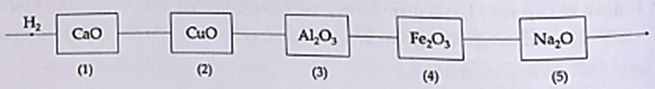 Cho luồng khí H2 dư lần lượt qua các ống mắc nối tiếp đựng các oxit nung nóng như hình vẽ:  Các ống xảy ra phản ứng khử oxit kim loại thành kim loại là (ảnh 1)