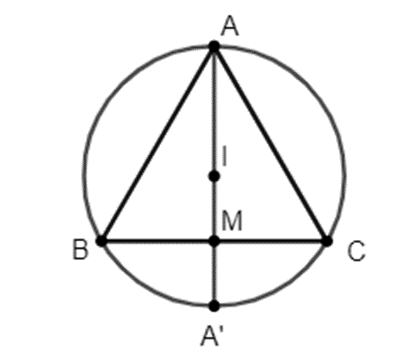 Cho tam giác đều ABC nội tiếp đường tròn tâm I đường kính AA’, M là trung điểm  (ảnh 1)