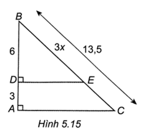 Cho Hình 5.15, biết ED ⊥ AB, AC ⊥ AB. Khi đó, x có giá trị là     A. 2,5. B. 2. C. 3. D. 4. (ảnh 1)