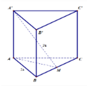 Cho khối lăng trụ đều ABC.AˊBˊCˊ có AB = 2a, M là trung điểm BC và AM' = 3a. Thể tích của khối lăng trụ đã cho bằng (ảnh 1)