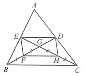Cho tam giác ABC có các đường trung tuyến BD Tứ giác EFHD là hình gì (ảnh 1)