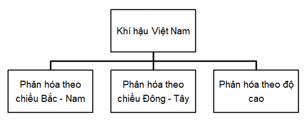 Lập sơ đồ chứng minh sự phân hoá đa dạng của khí hậu Việt Nam (ảnh 1)