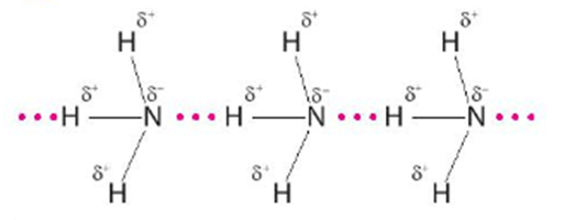 Ở trạng thái lỏng nguyên chất, phân tử chất nào sau đây tạo được liên kết hydrogen với nhau? A. Nitrogen. B. Ammonia. C. Oxygen. D. Hydrogen. (ảnh 1)