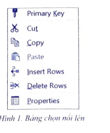 Trong khung nhìn thiết kế bảng có thể thực hiện các thao tác thiết kế cột rất nhanh qua các lệnh trong bảng chọn nổi lên (Hình 1) khi nhảy chuột phải lên tên một cột. Hãy cho biết tác dụng của các lệnh: Primary Key, Cut, Copy, Insert Rows, Delete Rows.    (ảnh 1)