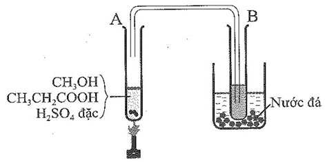 Một thí nghiệm được mô tả như hình sau đây:   Chất lỏng thu được ở ống nghiệm B có mùi táo, có tên gọi là A. ethyl formate. B. methyl propionate.	 C. ethyl propionate. D. propyl formate. (ảnh 1)