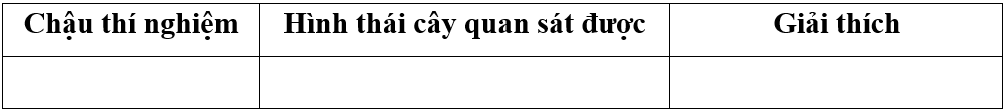 Học sinh viết và trình bày báo cáo theo mẫu: (ảnh 2)