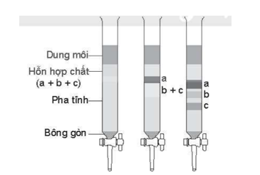 Quan sát hình mô phỏng thí nghiệm sắc kí cột sau:  Hãy cho biết trong điều kiện thí nghiệm:  a) Chất nào bị hấp phụ mạnh nhất? Chất nào bị hấp phụ kém nhất?  b) Chất nào hoà tan tốt hơn trong dung môi? (ảnh 1)