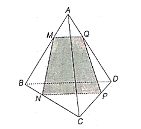 Cho tứ diện ABCD. Gọi M, N, P lần lượt là các điểm thuộc các cạnh AB, BC, CD. Xác định giao điểm của đường thẳng AD  (ảnh 1)