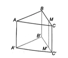 Cho hình lăng trụ tam giác ABC.A'B'C'. Gọi M là điểm thuộc cạnh BC sao cho MB = 2MC. (ảnh 1)