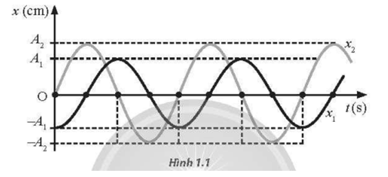 Hai vật dao động điều hoà có li độ được biểu diễn trên đồ thị li độ - thời gian như Hình 1.1. Phát biểu nào dưới đây mô tả đúng tính chất của hai vật?   A. Hai vật dao động cùng tần số, cùng pha. B. Hai vật dao động cùng tần số, vuông pha. C. Hai vật dao động khác tần số, cùng pha. D. Hai vật dao động khác tần số, vuông pha. (ảnh 1)