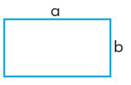 Một hình chữ nhật có chiều dài là a, chiều rộng là b (a và b cùng đơn vị đo). (ảnh 1)