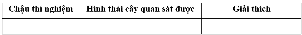 Học sinh viết và trình bày báo cáo theo mẫu: (ảnh 3)