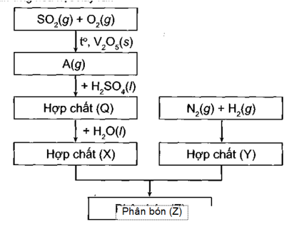 Sơ đồ quy trình dưới đây mô tả các bước trong quá trình sản xuất phân bón (Z). Hãy xác định các chất (A), (Q), (X), (Y), (Z). Viết các phản ứng hóa học xảy ra.   Lời giải:  (ảnh 1)