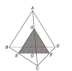 Cho tứ diện ABCD và một điểm O nằm trong tam giác BCD. Gọi (P) là mặt phẳng qua O và song song với mặt phẳng (ABD). (ảnh 1)