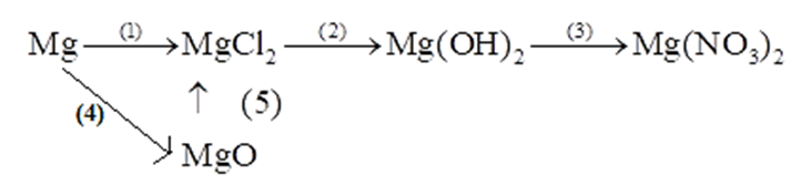Hoàn thành các phương trình hoá học theo sơ đồ chuyển hoá sau Mg (1) suy ra MgCl2 (2) suy ra Mg(OH)2 (ảnh 1)