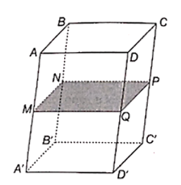 Cho hình hộp ABCD.A'B'C'D'. Gọi M, N, P, Q lần lượt là trung điểm của các cạnh AA', BB', CC', DD'. Chứng minh rằng bốn điểm (ảnh 1)