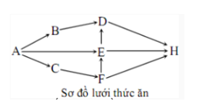 Sơ đồ dưới minh họa lưới thức ăn trong một hệ sinh thái gồm các loài sinh vật: A, B, C, D, E, F, H. (ảnh 1)