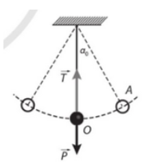 Tính tốc độ của vật khi nó qua vị trí cân bằng và độ lớn lực căng của dây treo khi đó trong trường hợp:  b) anpha 0= 30 độ (ảnh 1)